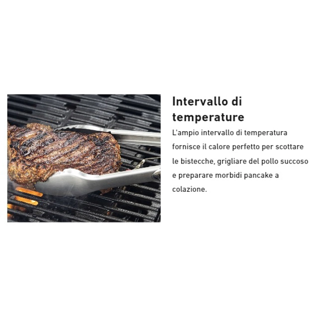 Vendita online Barbecue a gas Weber Traveler Black